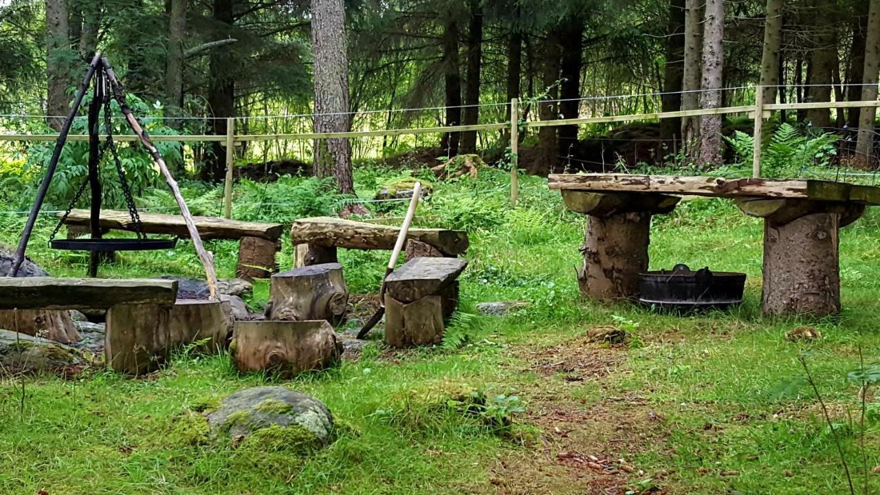 Kjorsvik Ovre Daire Tornes Dış mekan fotoğraf