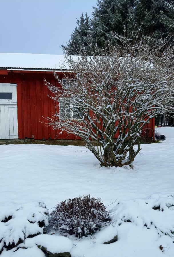 Kjorsvik Ovre Daire Tornes Dış mekan fotoğraf